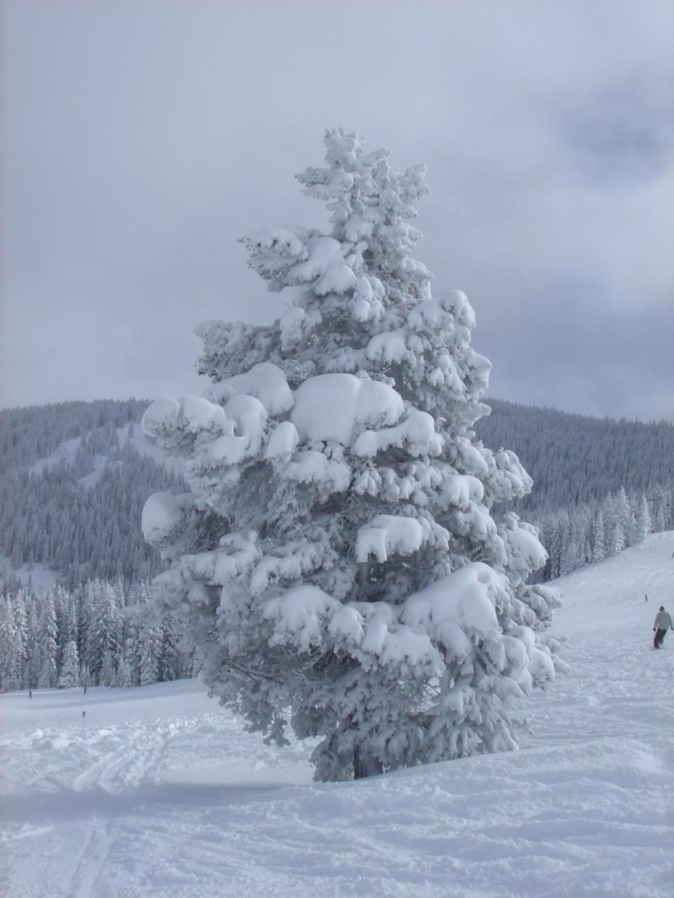 Hotel Marriott'S Streamside Douglas At Vail Esterno foto